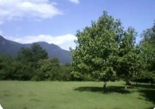 Satılır Torpaq, Qəbələ.ş-5