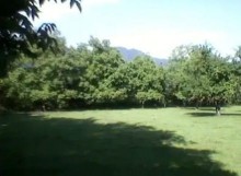 Satılır Torpaq, Qəbələ.ş-9