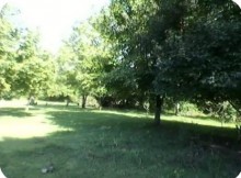 Satılır Torpaq, Qəbələ.ş-13