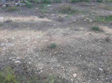 Satılır Torpaq, Səbail.r, Badamdar-6