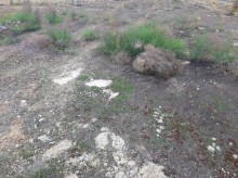 Satılır Torpaq, Səbail.r, Badamdar-8