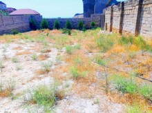 Satılır Torpaq, Səbail.r, Badamdar-2