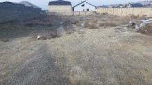 Satılır Torpaq, Səbail.r, Badamdar-7