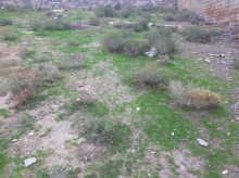 Satılır Torpaq, Səbail.r, Badamdar-5
