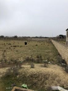Satılır Torpaq, Xəzər.r, Şüvəlan, Koroğlu.m-2