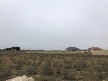 Satılır Torpaq, Xəzər.r, Şüvəlan, Koroğlu.m-6