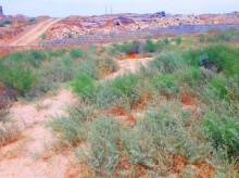 Satılır Torpaq, Səbail.r, Şıxov-8