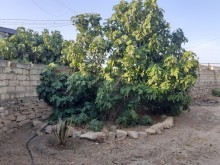 Kirayə (Aylıq) Həyət evi, Sabunçu.r, Bilgəh, Koroğlu.m-13