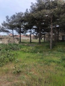 Satılır Torpaq, Xəzər.r, Şüvəlan, Koroğlu.m-13