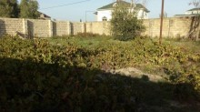 Satılır Torpaq, Abşeron.r, Novxanı, Azadlıq.m-4