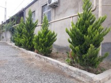 qaracuxurda heyet evi almaq, -1