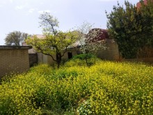 Satılır Həyət evi, Sabunçu.r, Bakıxanov-3