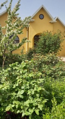 Zaratda heyet evi almaq ucun telesin, -2