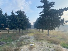Satılır Torpaq, Xəzər.r, Şüvəlan, Koroğlu.m-5