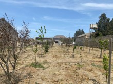 Satılır Torpaq, Xəzər.r, Şüvəlan, Koroğlu.m-2