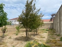 Satılır Torpaq, Xəzər.r, Mərdəkan, Koroğlu.m-5