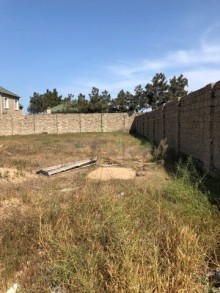 suvelanda satilan torpaq elanlari, -1