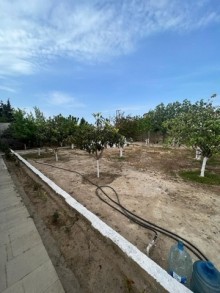 suvelan baglarinda ev tikmek ucun torpaq, -7