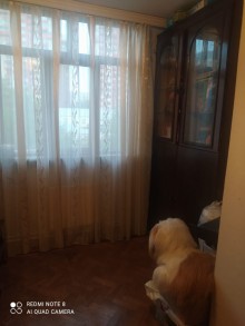 neftcilerde iki otaqli evlerin qiymetleri, -8