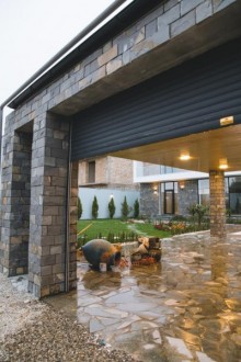 suvelan bag evi, -19