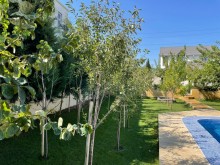 suvelanda villa bag evi elanlari, -9