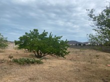 Satılır Torpaq, -1