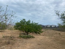 Satılır Torpaq, -2
