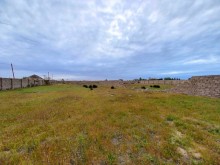 Satılır Torpaq, Sabunçu.r, Nardaran-8
