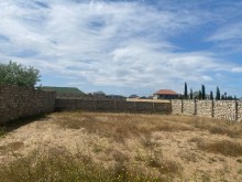Satılır Torpaq, Xəzər.r, Şüvəlan, Koroğlu.m-5