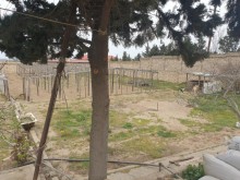 bilgehde torpaqların qiymeti, -3
