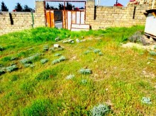 Satılır Torpaq, Səbail.r, Badamdar-10