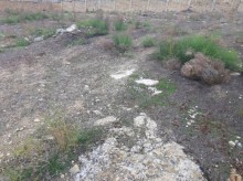 Satılır Torpaq, Səbail.r, Badamdar-4