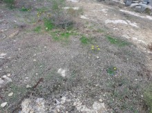 Satılır Torpaq, Səbail.r, Badamdar-7