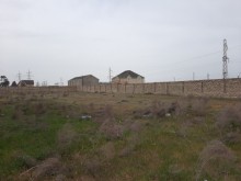 şüvəlan bağlarında torpaq satılır, -1