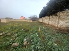 merdekan torpaq, -1