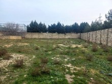 merdekan torpaq, -5