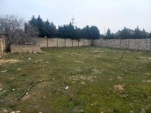merdekan torpaq, -6