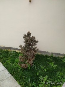 suvelanda heyet evi qiymetleri, -8