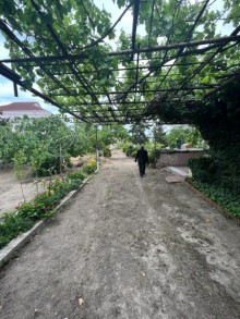torpaq sahesi suvelan, -5