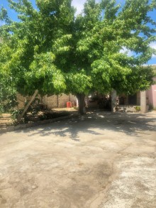 torpaq saheleri suvelan, -5