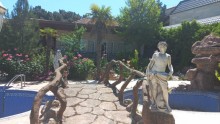 Novxanıda geniş yaşıllıq zonası olan hovuzlu villa satılır, -6