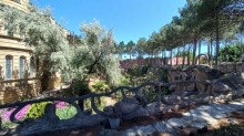 Novxanıda geniş yaşıllıq zonası olan hovuzlu villa satılır, -9