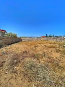 suvelan torpaq sahesi, -11
