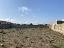 şüvəlanda torpağın qiyməti, -1
