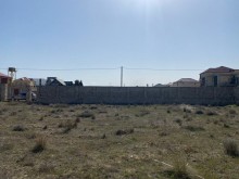 şüvəlanda torpağın qiyməti, -6