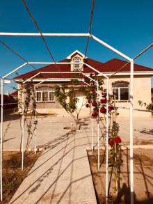Kirayə (Aylıq) Villa, Sabunçu.r, Albalı-1
