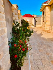 Kirayə (Aylıq) Villa, Sabunçu.r, Albalı-6