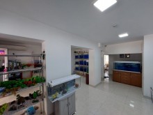 Kirayə (Aylıq) Köhnə Tikili, Xətai.r, Əhmədli, Xalqlar Dostluğu m..m-3