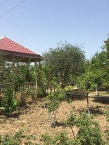 Satılır Həyət evi, Abşeron.r, Novxanı-3