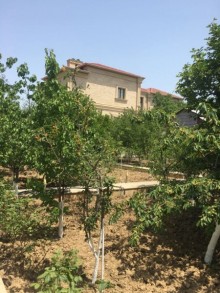 Satılır Həyət evi, Abşeron.r, Novxanı-11